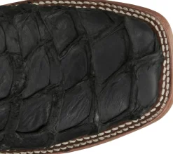 Ocean Front 11" Pirarucu