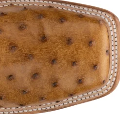 Pascoe 13" Full Quill Ostrich