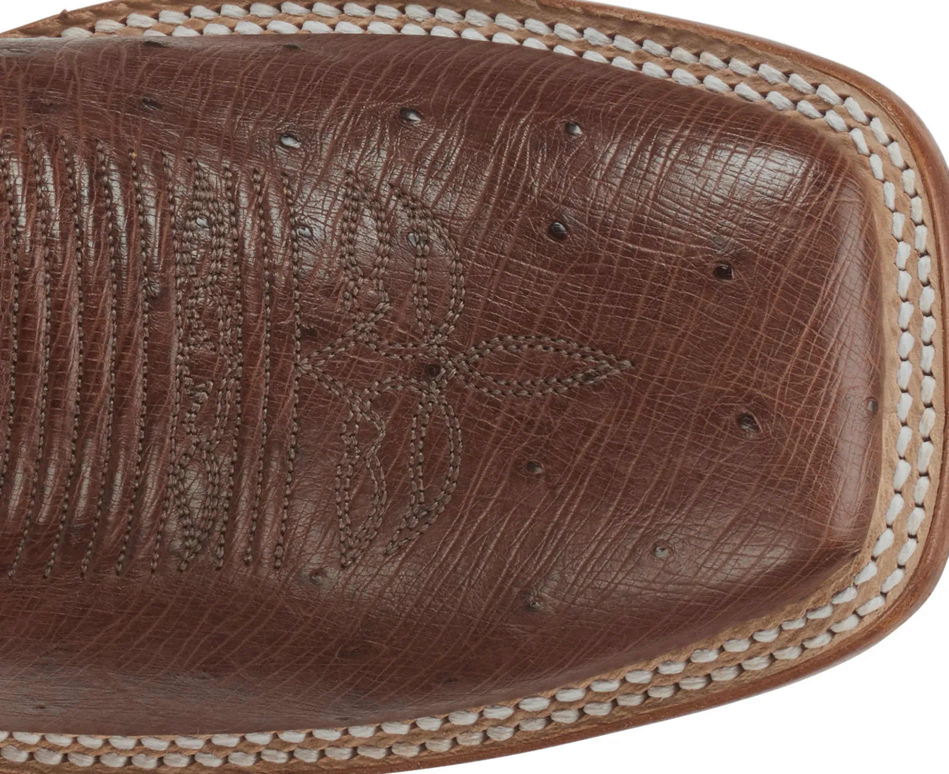 Pascoe 13" Smooth Ostrich